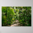Search for rainforest posters Woods