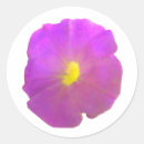 Search for purple petunia stickers Pretty