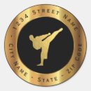 Search for jujitsu stickers Taekwondo