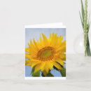 Search for blank sunflower cards Floral