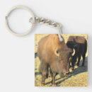 Search for bison bison keychains Herd