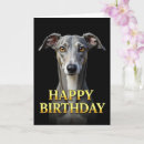 Search for greyhound birthday cards Animal