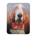 Recherche de cravates magnets Chien