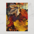 Search for joanne postcards Autumn