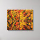Search for hampshire canvas prints Fall