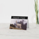 Recherche de andes vœux cartes Pérou