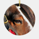 Search for clydesdale horse ornaments Clydesdales