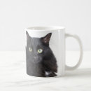 Search for fluffy cat mugs Black