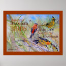Search for endangered birds posters Conservation