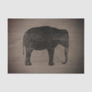 Search for elephant tissue paper Wildlife