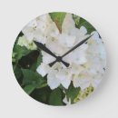 Recherche de hortensias horloges Jardin