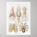 Search for vintage octopus posters Ocean