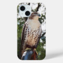 Search for hawk iphone cases Red tailed hawk