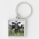 Search for rowing keychains Animal