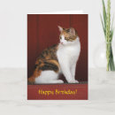 Search for calico cat birthday cards Orange