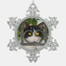 Search for cat in frame ornaments Cute