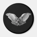 Search for vampire magnets Bat