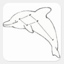 Recherche de constellations autocollants Dauphin