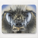 Search for compound mousepads Insect