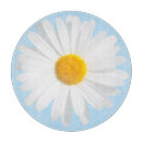 Recherche de marguerites planches à découper Blanc