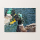 Recherche de ducks puzzles Étang