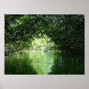 Search for mangrove posters Water