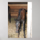 Search for stable art Nature