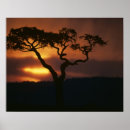 Search for game reserve posters Tree