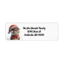 Search for otters return address labels Wildlife