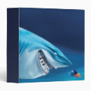 Search for finding nemo shark Sharks