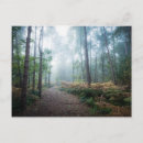Recherche de fog cartes postales Landscape