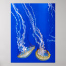Search for aquarium fish posters Blue