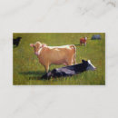 Recherche de vaches cartes visite Rustique