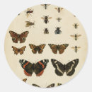 Search for vision studio stickers Butterflies