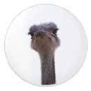 Search for zoo animal knobs and pulls Birds