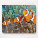 Search for philippine mousepads Fauna