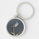 Search for dragonfly and damselfly keychains Dragonflies