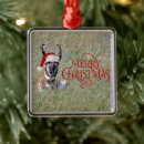 Search for antelope ornaments Wildlife