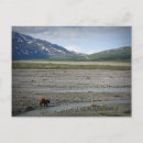 Recherche de parc national denali cartes postales Nature