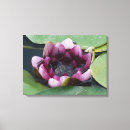 Search for waterlilly art Purple