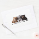 Search for tiger rectangle stickers Cute