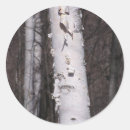 Search for white birch stickers Forest