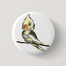 Search for cockatiel buttons Pet