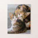 Recherche de cat puzzles Pour enfants