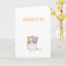 Recherche de kater vœux cartes Chaton