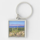 Search for rob keychains Blue sky