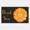 Search for gerbera daisy stickers Daisies