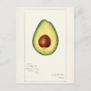 Recherche de avocats cartes postales Fruit