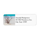 Search for treasure return address labels Ocean