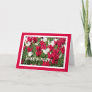 Search for knee surgery cards Get